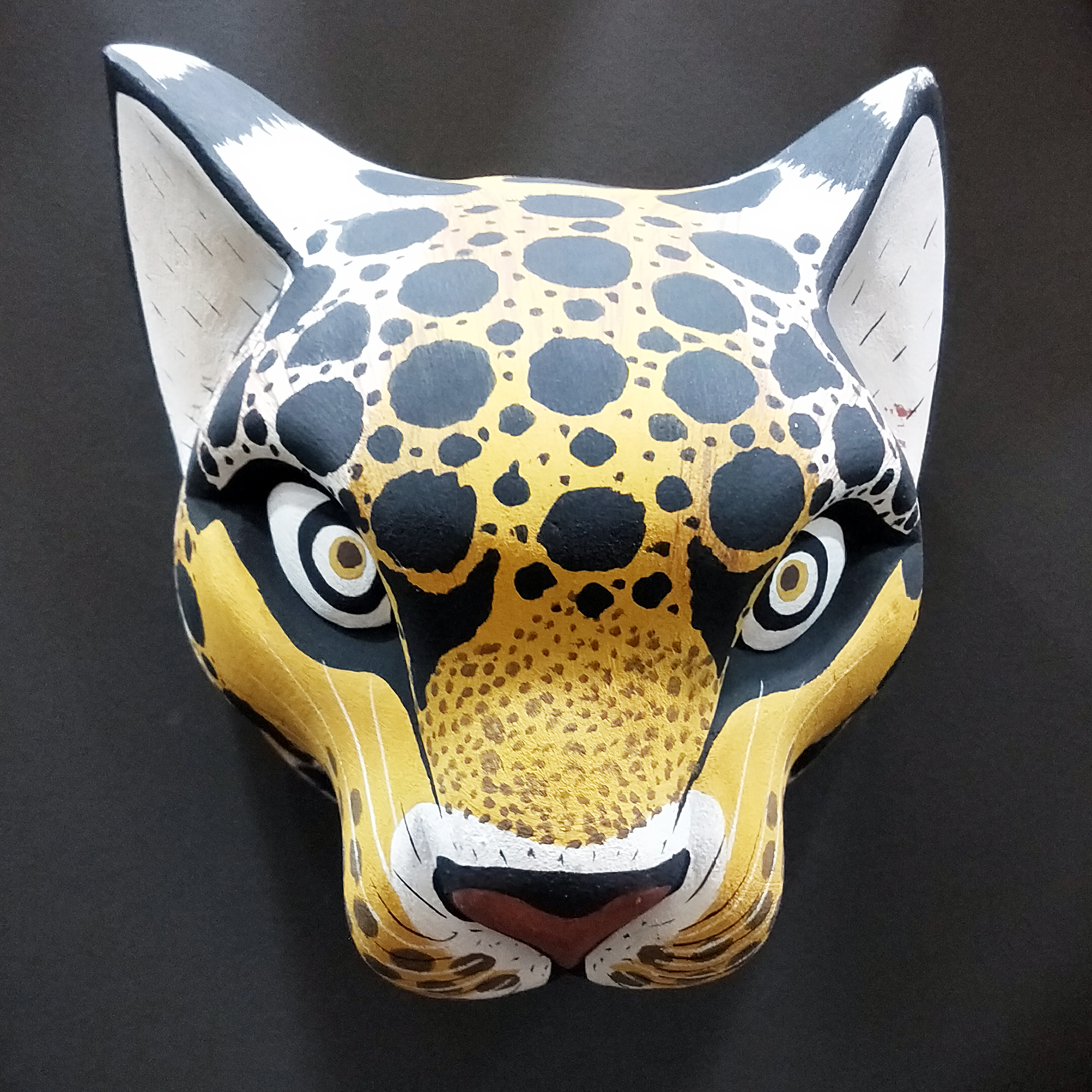 006 – Jaguar (L)