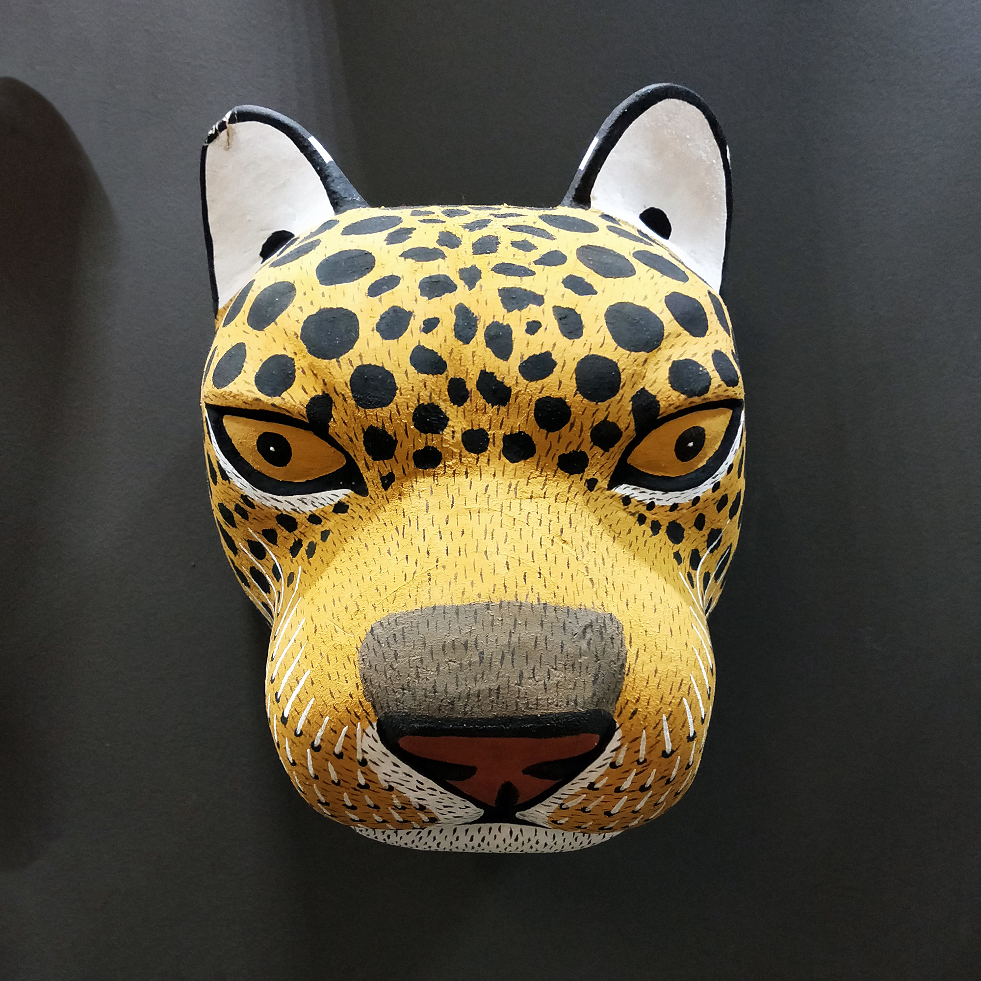 011 – Jaguar (L)